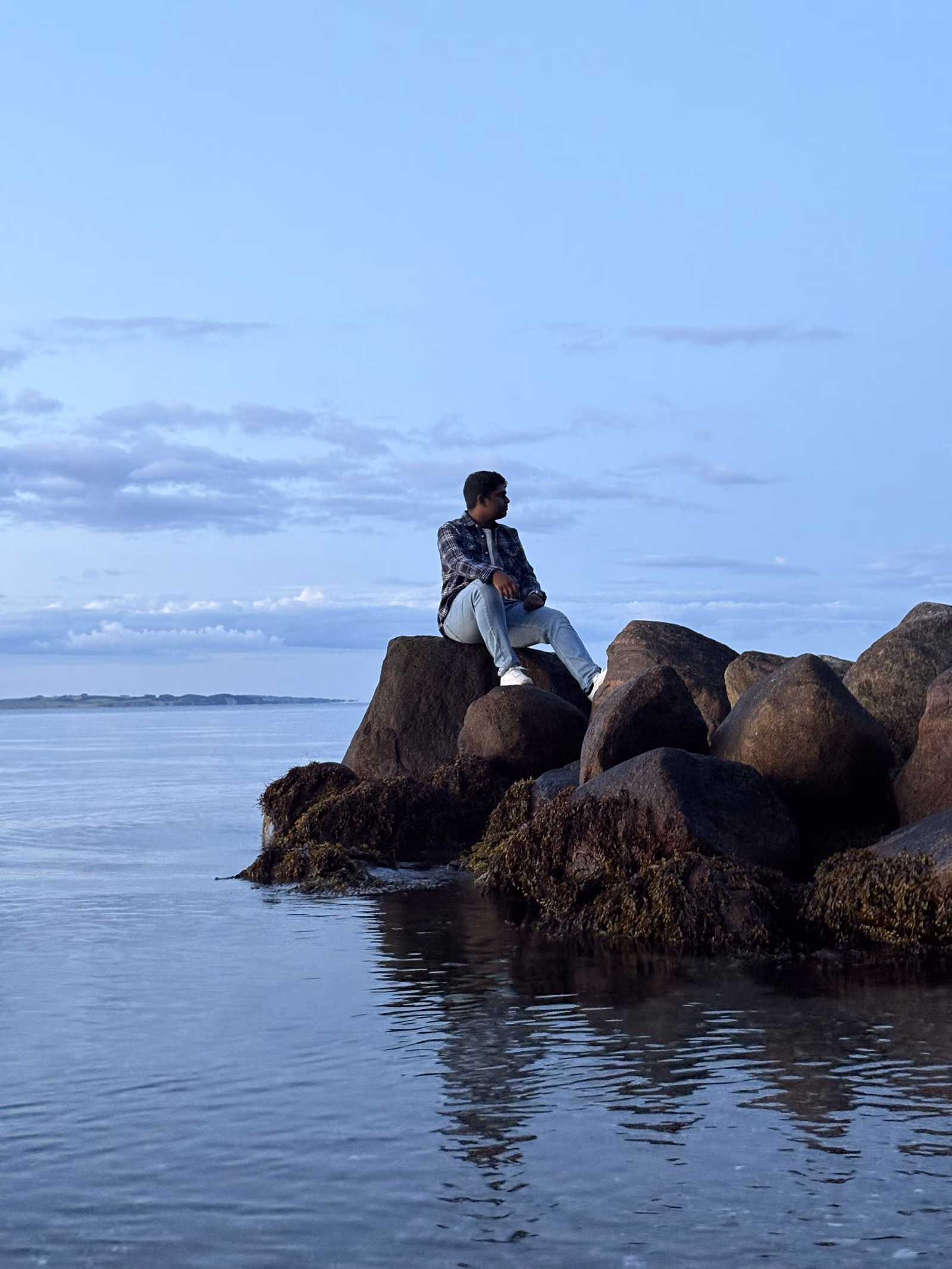 Viswes sitting on a rock breakwater at blue hour on the Danish coast, looking out over calm water